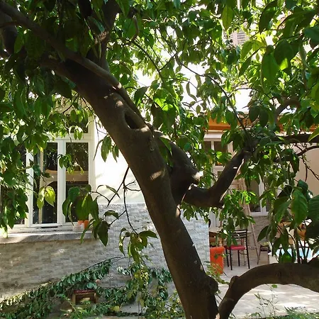 Lotus Garden Hostel *