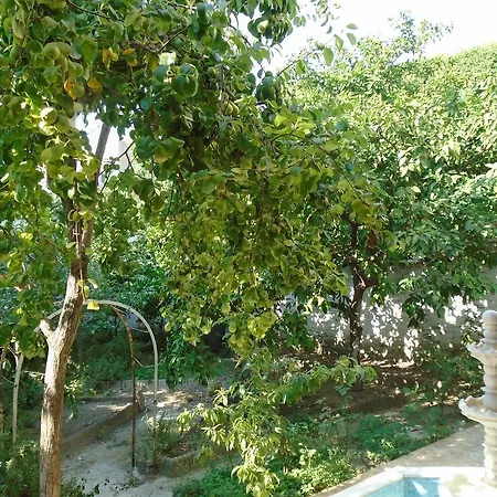 Hostel Lotus Garden