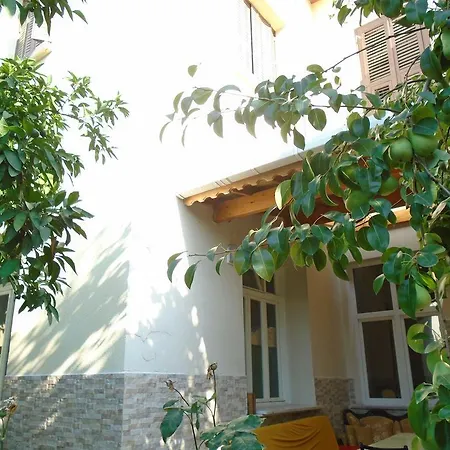 Lotus Garden Hostel