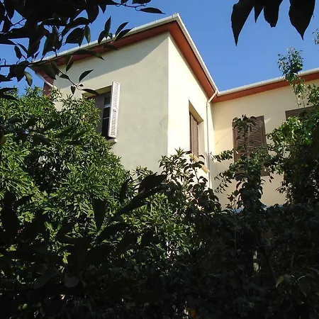 Hostel Lotus Garden *