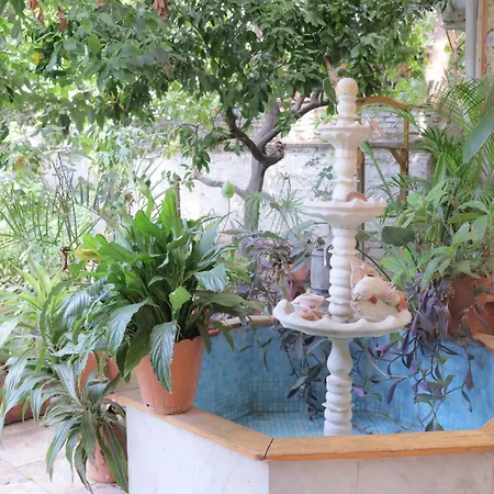 Hostel Lotus Garden