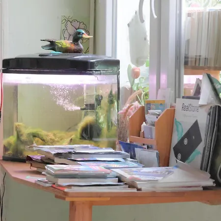 Lotus Garden Hostel *