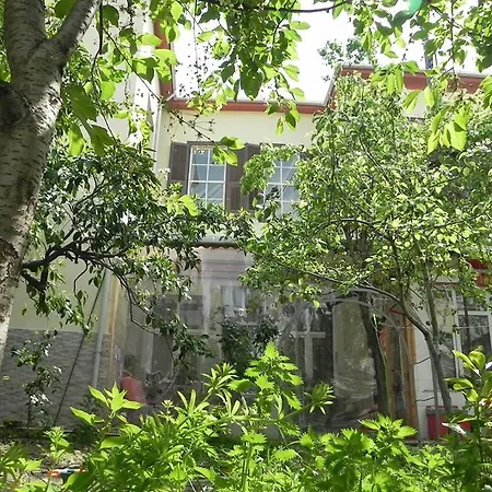Hostel Lotus Garden *
