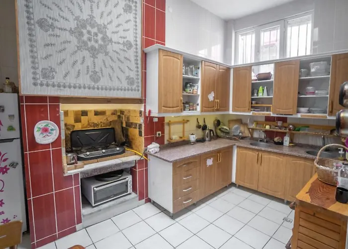 Lotus Garden *