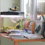 ロータス ガーデン ホステル *