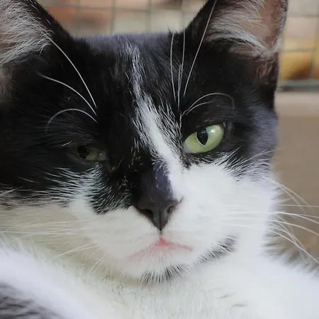 אכסניה Lotus Garden