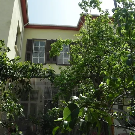 Lotus Garden Hostal