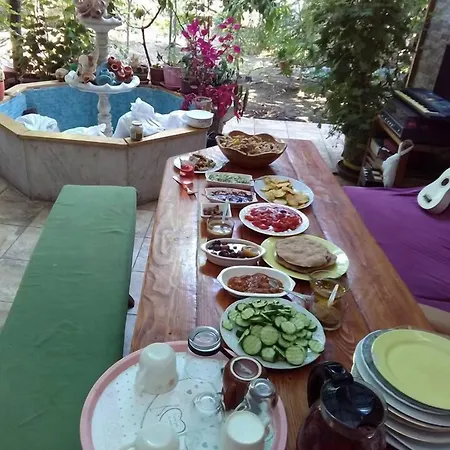 Lotus Garden Hostal Esmirna