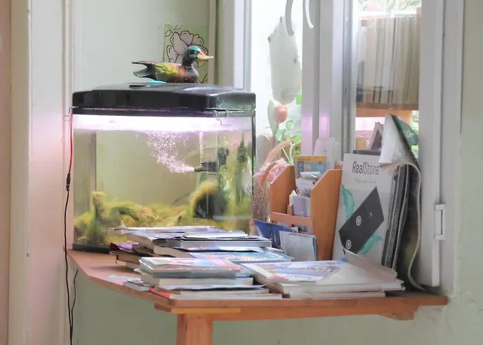 Lotus Garden Auberge de jeunesse *