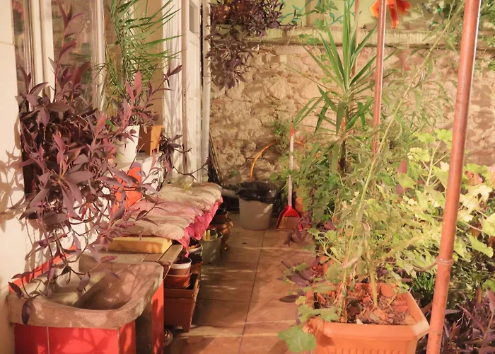 Lotus Garden Σμύρνη