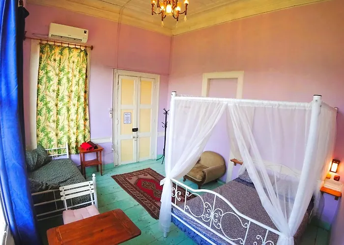 Lotus Garden Hostel *