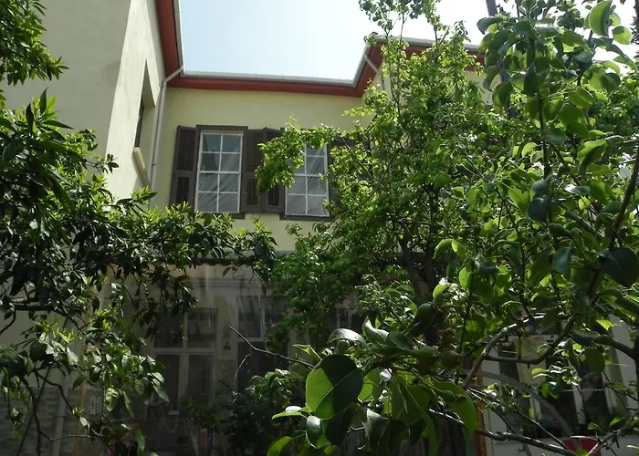 Lotus Garden Hostel
