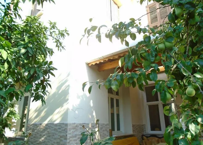 Lotus Garden * Σμύρνη