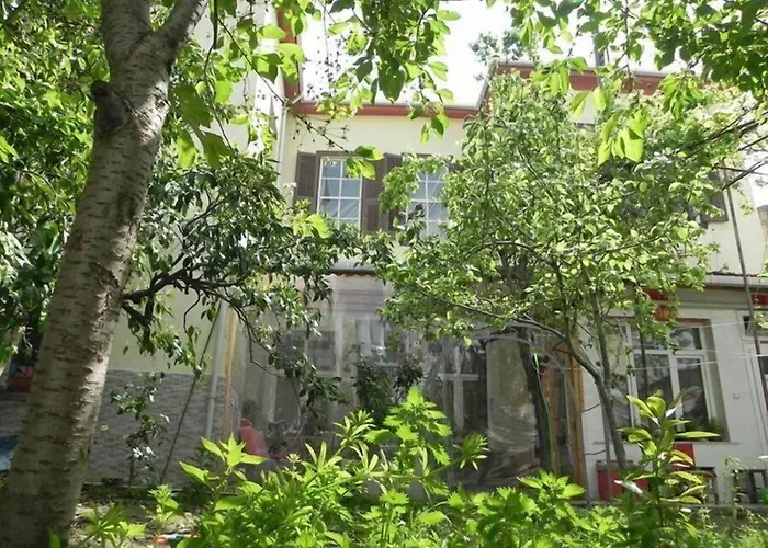 Auberge de jeunesse Lotus Garden