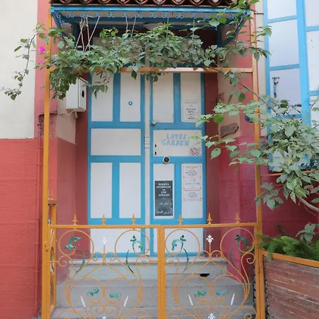 Lotus Garden Hostel